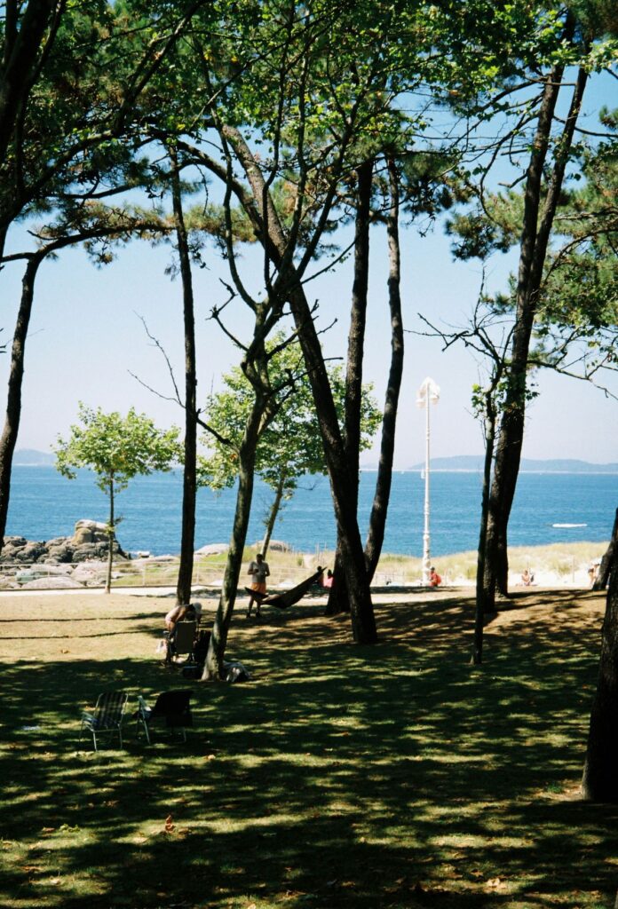 people hanging out at Samil in the trees.